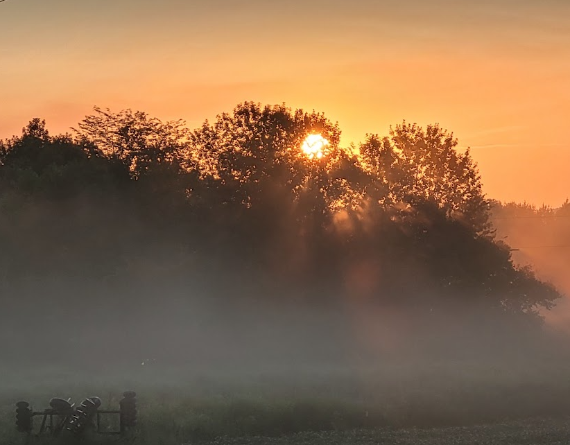 Sunrise over Tin Cup Farms, Clifton Tennessee
